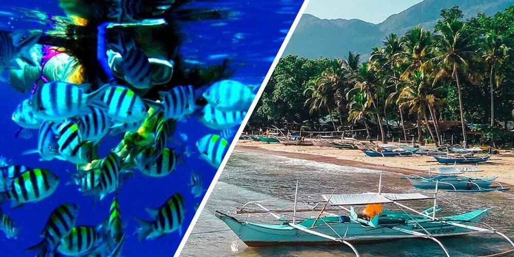 3D2N El Nido + 2D1N Puerto Princesa Tour Combo Package (via Private van)