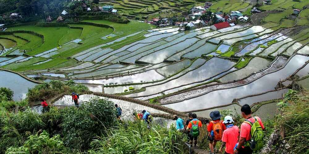 4D4N Explore Sagada Tour Package (Private Transfers w/ Banaue & Baguio)