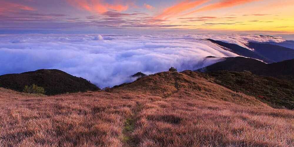 2D1N Mount Pulag Summit Adventure Tour Package (via Private van)