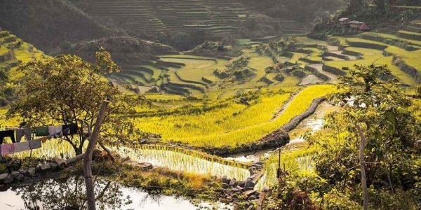 Banaue Travel and Tour Packages 12