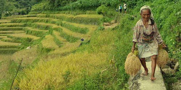 Banaue Travel and Tour Packages 16