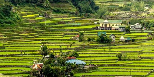 Banaue Travel and Tour Packages 4