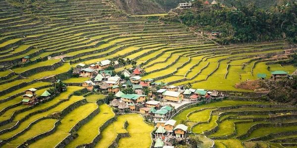 Banaue Travel and Tour Packages 9