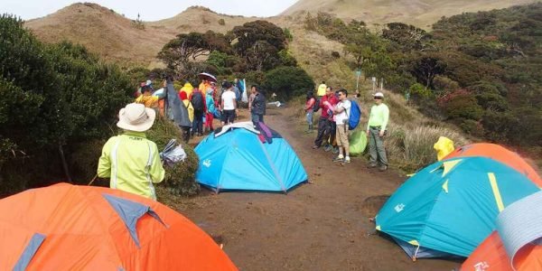 Mount Pulag Tour Package