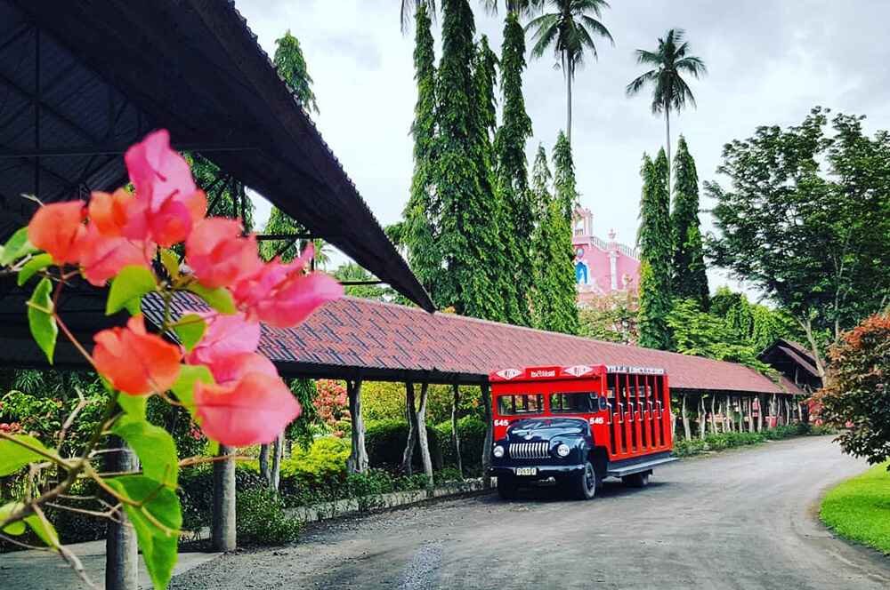 Villa Escudero Day Tour Package (no Land Transfer)