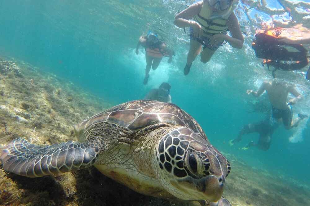 3D2N Explore Dumaguete Tour Package E